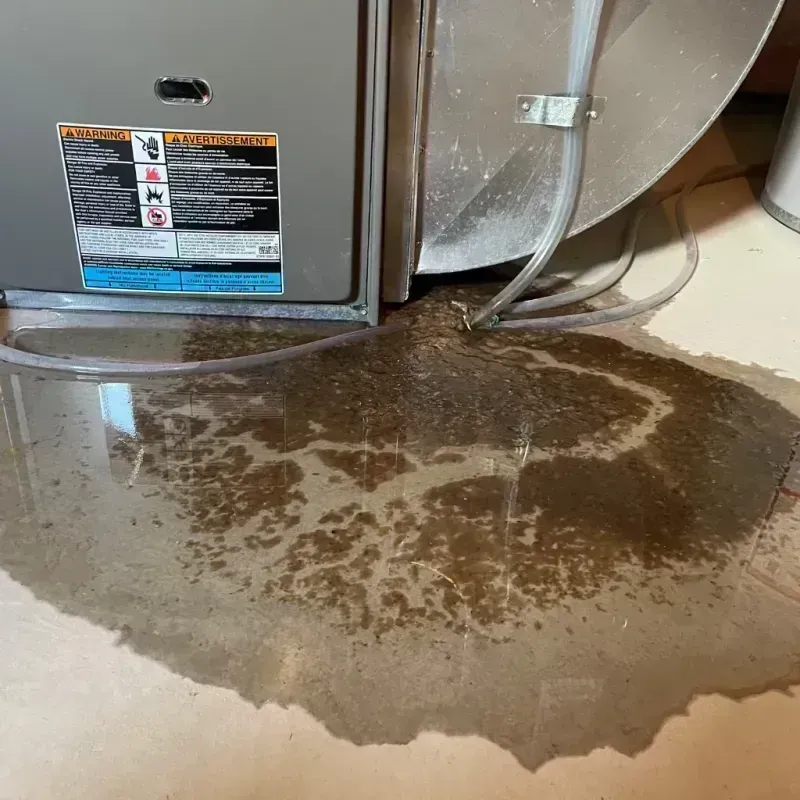 Appliance Leak Cleanup in Kittredge, CO